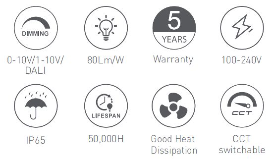 RL-DL1601 at a glance