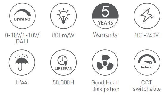 RL-DL1602 at a glance