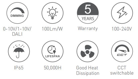 RL-DL1605 at a glance