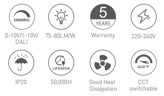 RL-DL1607 at a glance
