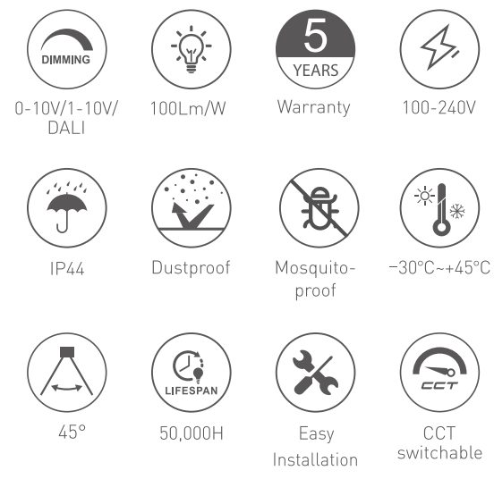 RL-DL2412 at a glance